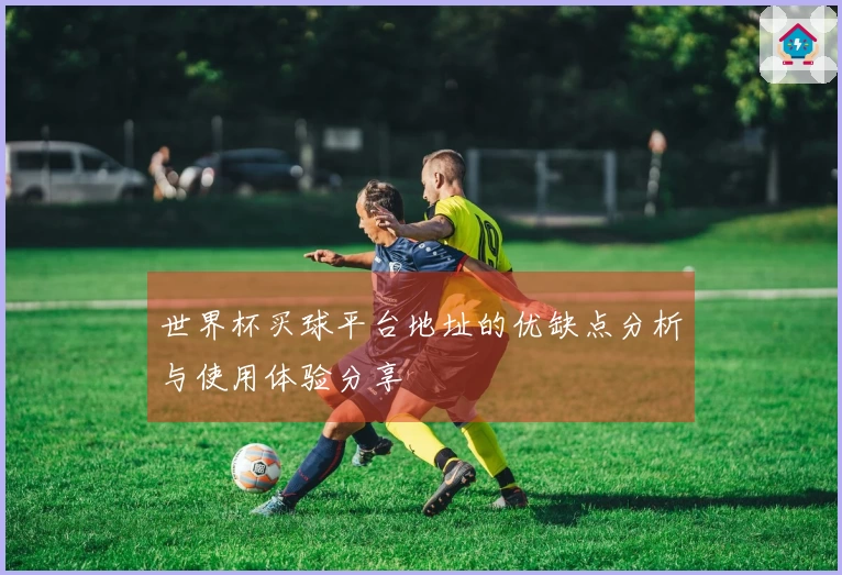 世界杯买球平台地址的优缺点分析与使用体验分享