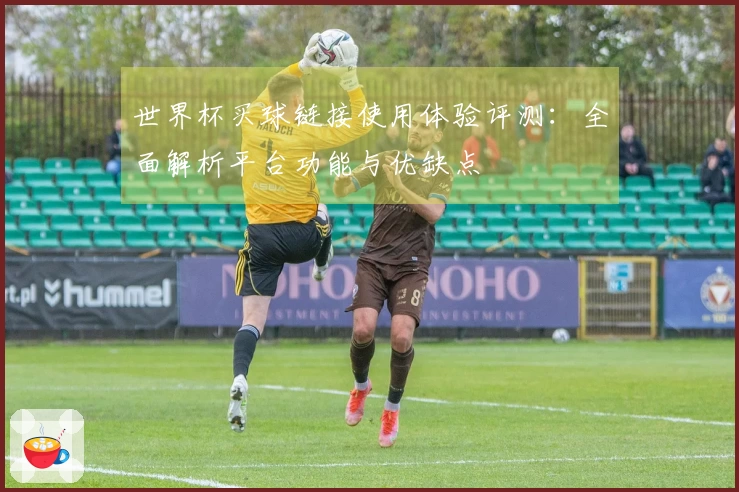 世界杯买球链接使用体验评测：全面解析平台功能与优缺点