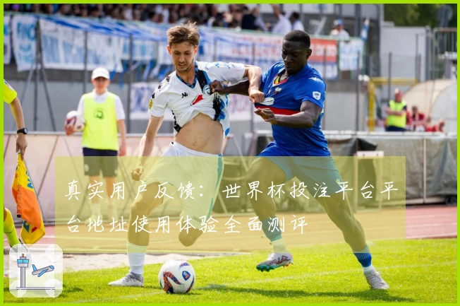 真实用户反馈：世界杯投注平台平台地址使用体验全面测评