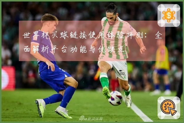 世界杯买球链接使用体验评测：全面解析平台功能与优缺点
