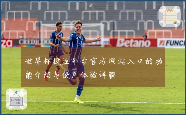 世界杯投注平台官方网站入口的功能介绍与使用体验详解