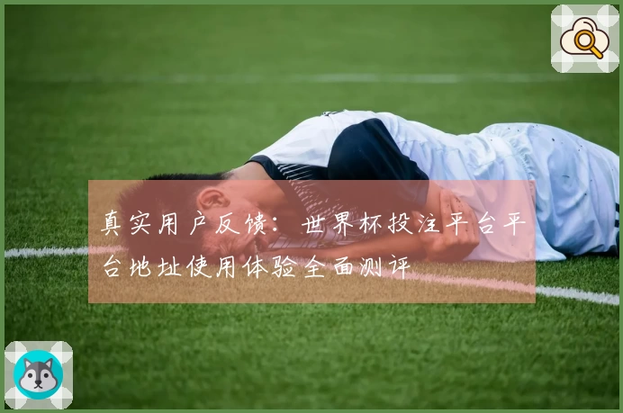 真实用户反馈：世界杯投注平台平台地址使用体验全面测评